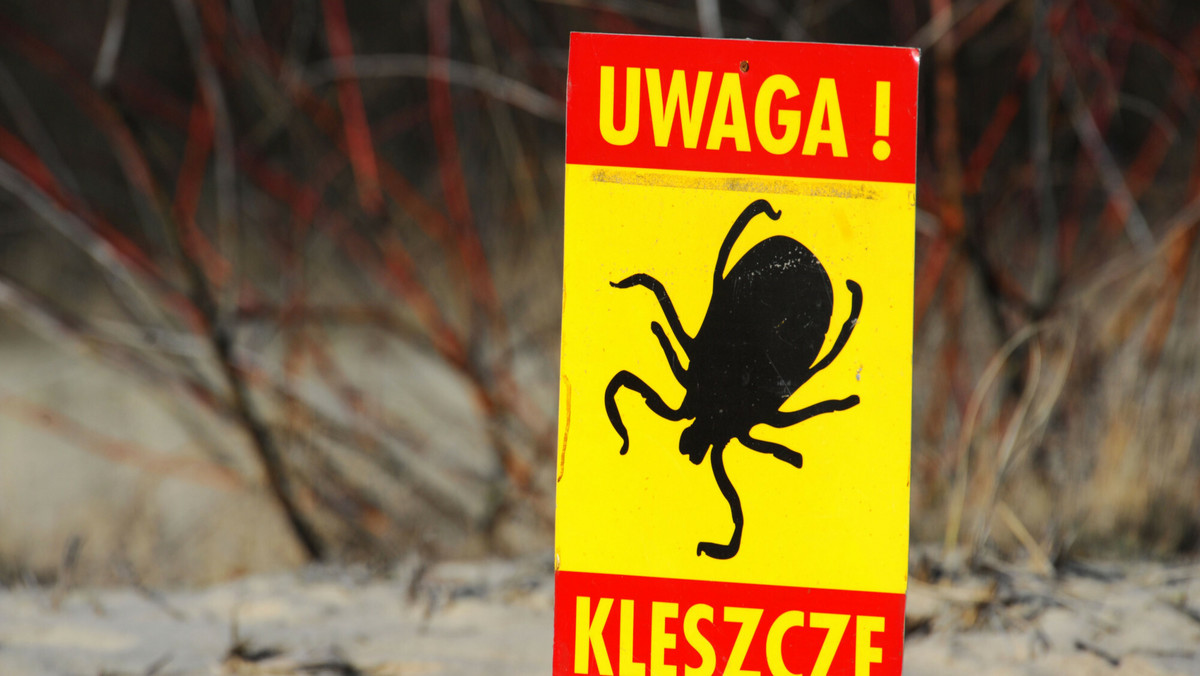 Borelioza wciąż niebezpieczna w Polsce
