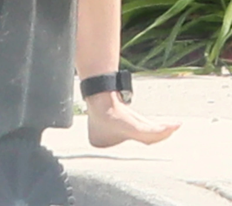 Elison je u kućnom pritvoru do izricanja presude 30. juna