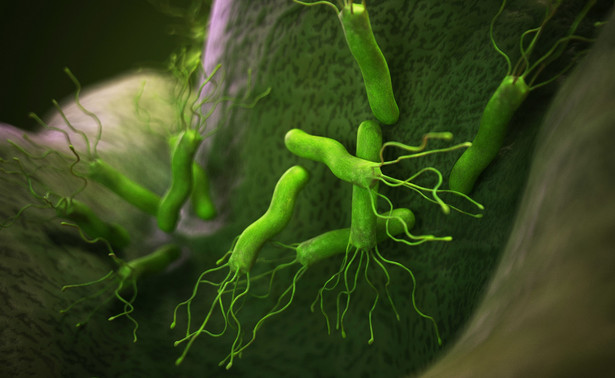 Rośnie oporność bakterii H. pylori na antybiotyki. Dlaczego?