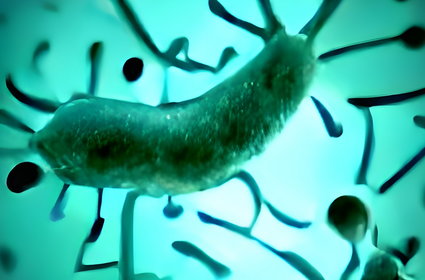 Polska bada wybuch śmiertelnej choroby. Legionella atakuje już poza Rzeszowem