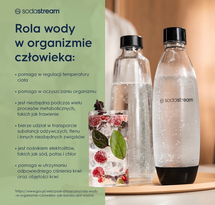 Rola wody w organizmie człowieka - infografika