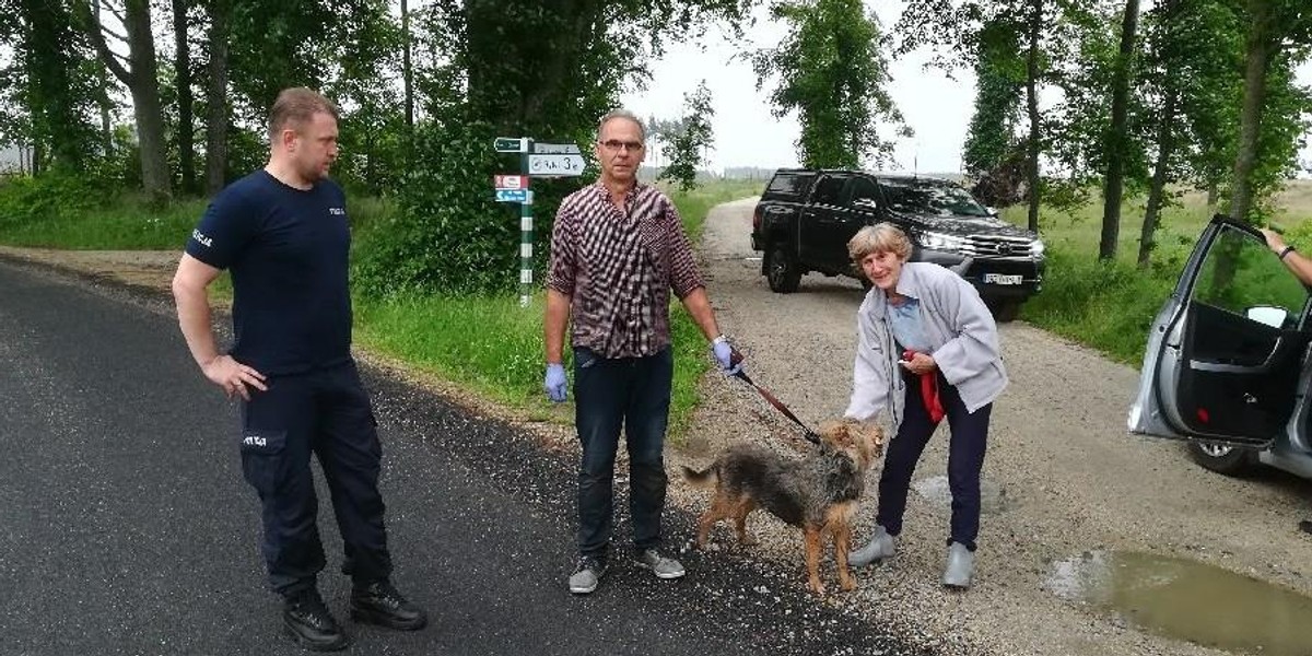 Wierny psiak trwał przy panu. Niezwykła historia z Rytla