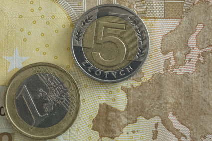 Złoty się osłabia, euro i frank coraz droższe. "Sentyment wciąż niekorzystny"
