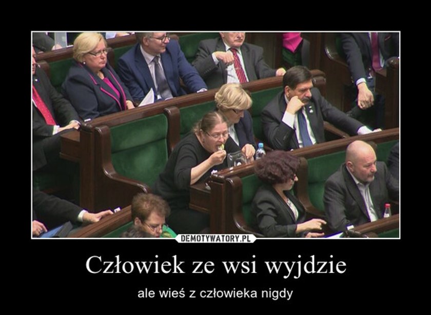 Memy z Pawłowicz