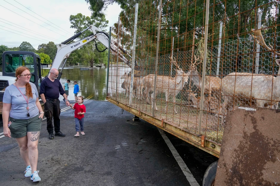 Poplave u Australiji, Sidnej