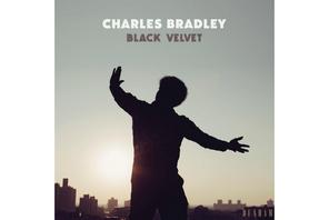 Charles Bradley, Black Velvet, płyta