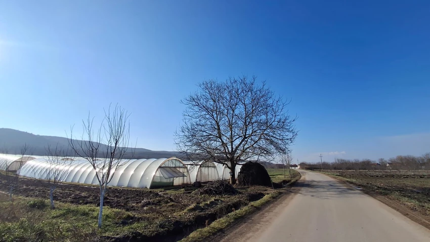 Mesto gde je Milica poslednji put viđena