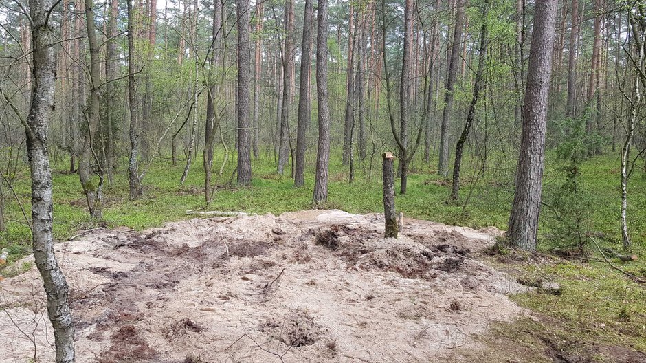 Miejsce znalezienia dziwnego obiektu pod Bydgoszczą