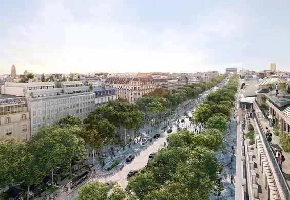 Największa ulica Paryża zostanie przerobiona na miejski ogród. Zmiany na Champs-Élysées