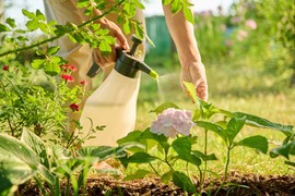 Ovo domaće sredstvo TERA PUŽEVE, MRAVE I BILJNE VAŠI: Deluje tokom cele sezone, a potrebna su vam samo 3 sastojka koja već imate u kuhinji