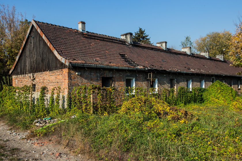 Osiedle mieszkań komunalnych w Poznaniu