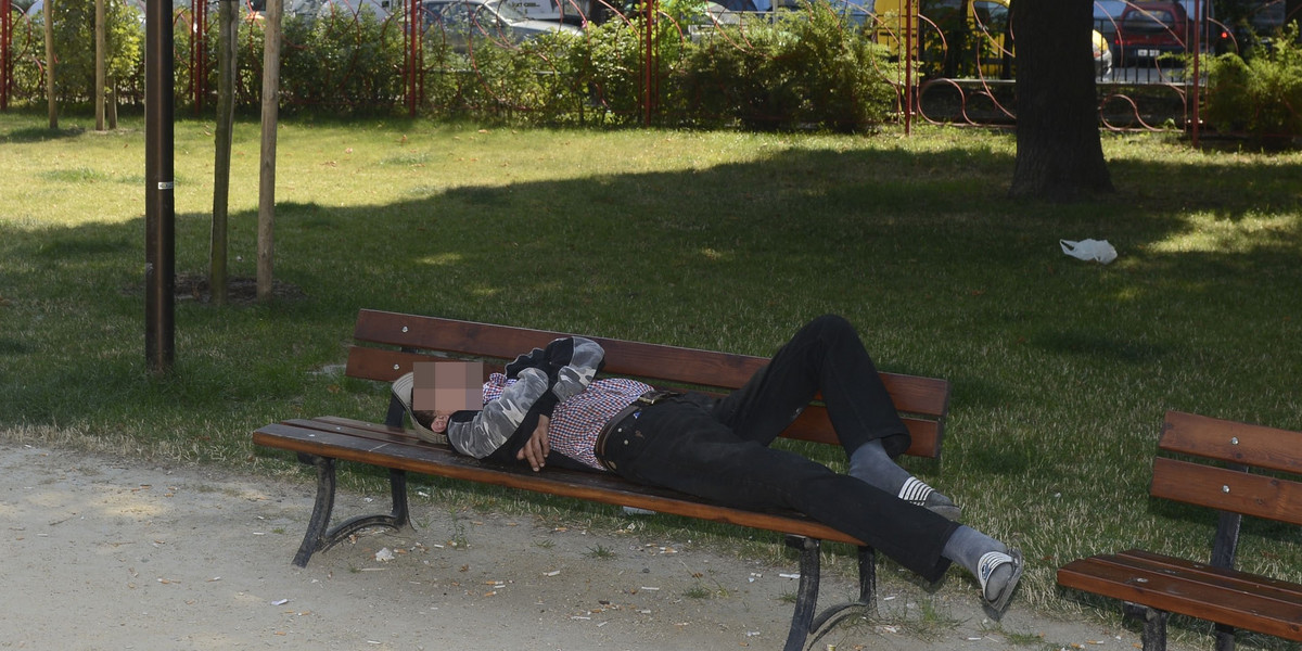 Menel śpiący pod kamerą monitoringu miejskiego w Parku Staszica we Wrocławiu