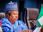 Shettima sets up multi-sectoral committee on human capital development