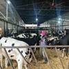 Farma