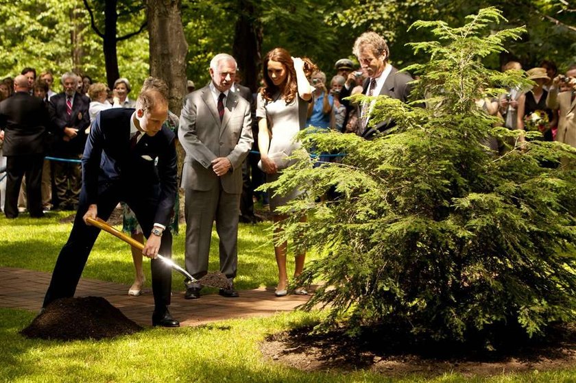 Książę William zagonił Kate do pracy! Dał jej łopatę