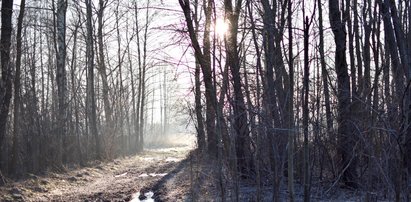 Przelotny deszcz ze śniegiem. W nocy do minus 10 stopni. Ale w pogodzie bez groźnych zjawisk. Jest prognoza IMGW na 7 dni