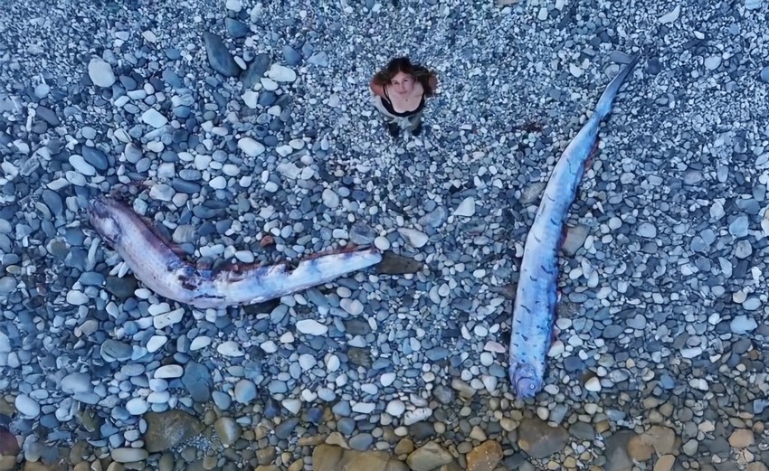 Doomsday Fish