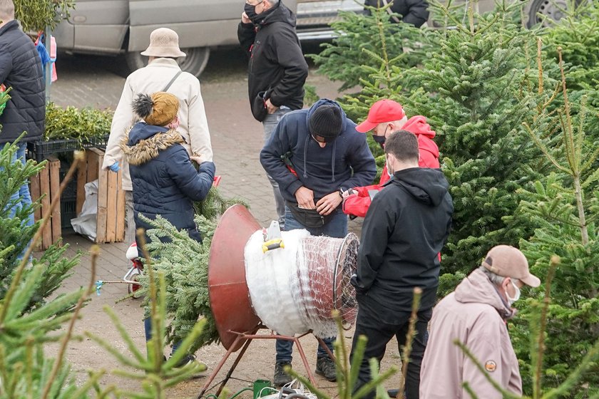 Jak wytargować dobrą cenę za choinkę. Zawodowy negocjator radzi