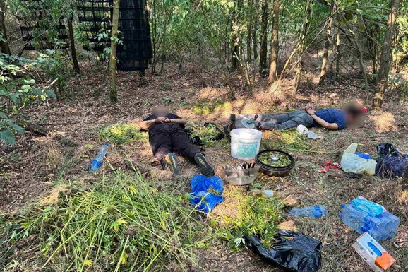 (FOTO, VIDEO) POLICIJA UPALA U LABORATORIJU DROGE U GROCKOJ Pohapsili dilere dok su seckali marihuanu, zaplenjeno čak 30 KILOGRAMA DROGE!