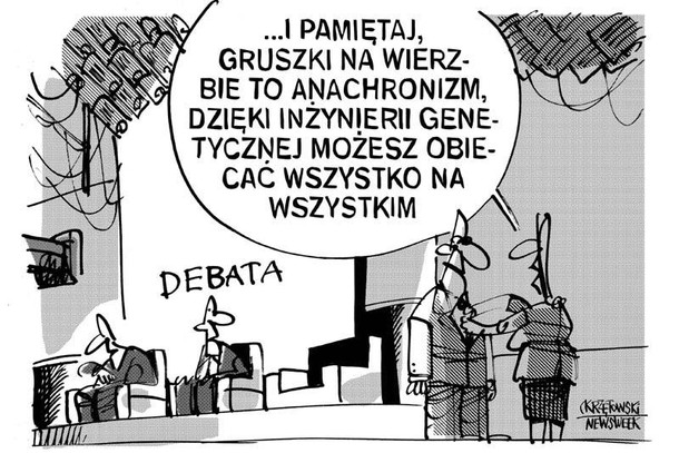 Gruszki na wierzbie wybory politycy krzętowski