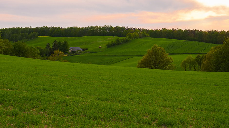 Góry i Mazury w jednym! Czyli Wzgórza Dylewskie. Poznaj ten zakątek Polski.