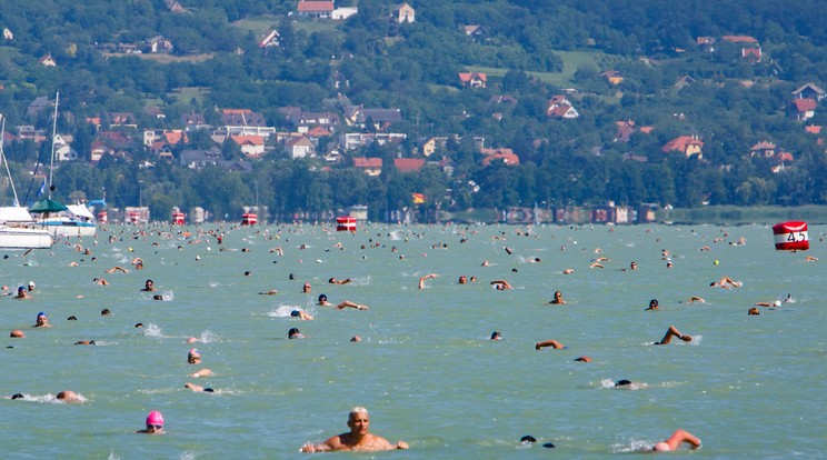 Megtartják a 38. Lidl Balaton-átúszást /Fotó: MTI/Varga György