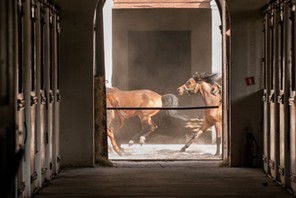 Ośmioro prezesów przywiozła do Janowa „dobra zmiana.