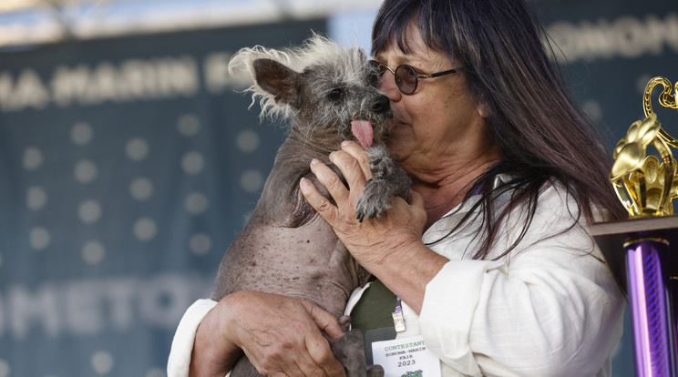 Linda Elmquist és kutyája, a hétéves kínai tarajos Scooter megnyeri a világ legcsúnyább kutyája versenyét 2023-ban a Sonoma-Marin vásáron a kaliforniai Petalumában / Fotó: MTI/  EPA / JOHN G. MABANGLO