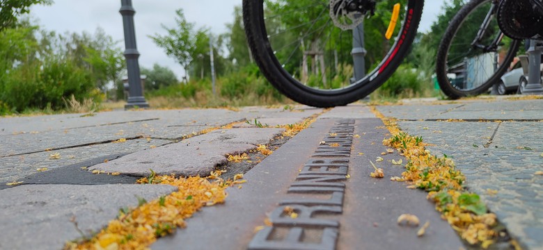 Zmory brutusa. Jak upadał berliński mur