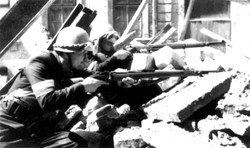 Ważne źródło. Pamiętniki "Uskoka" w internecie