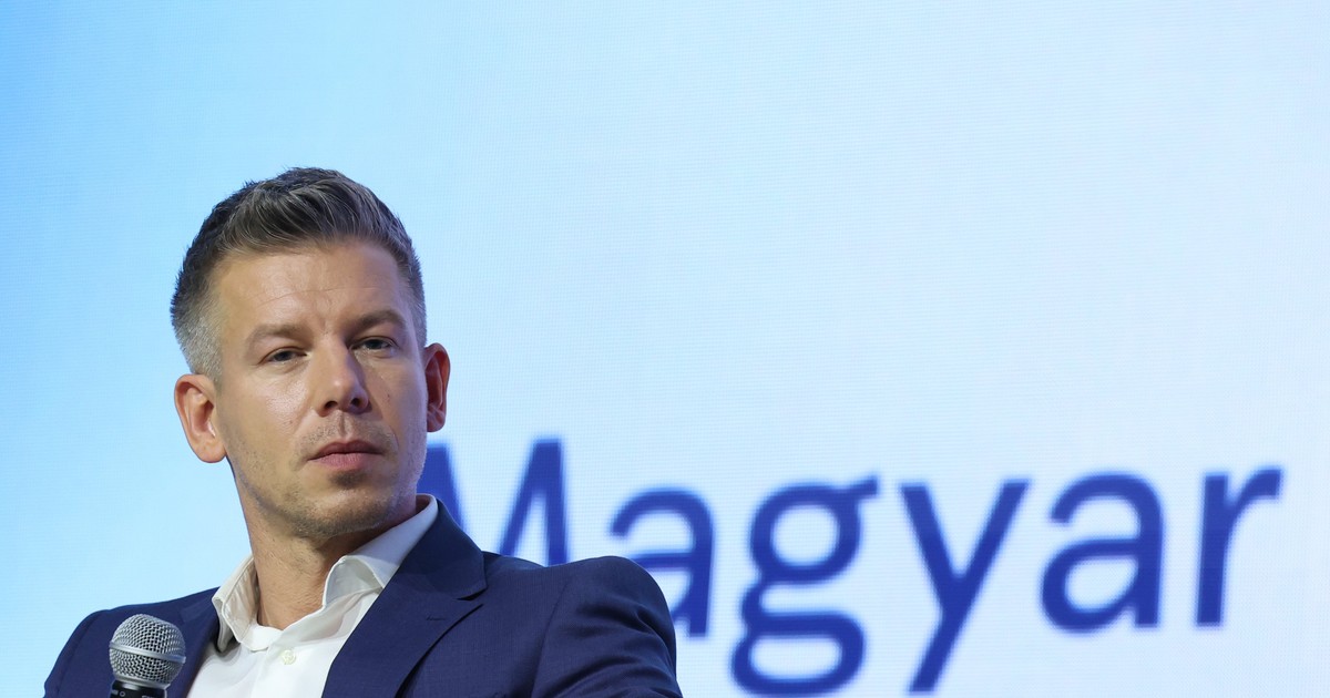 Magyar Péter ennyi ajándékot kapott a héten az országjárás alatt: egy zebra és egy poloska is volt a meglepetések között