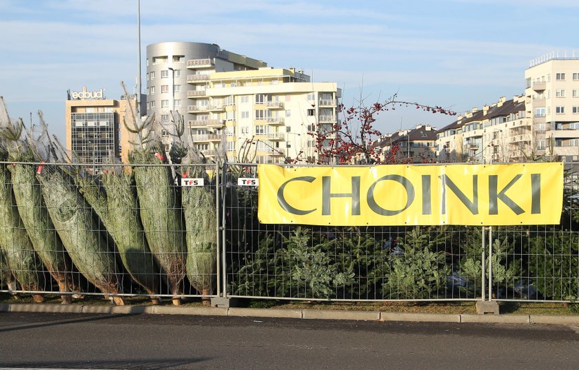 Choinki