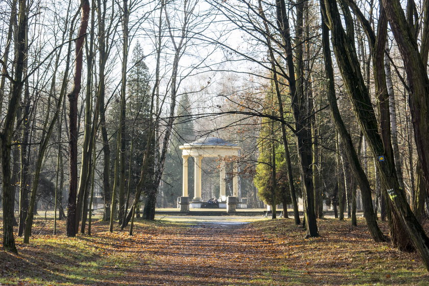 Dąbrowa Górnicza. Park Zielona będzie przebudowany