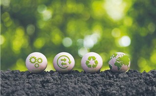 Zrównoważony rozwój i wyzwania MŚP