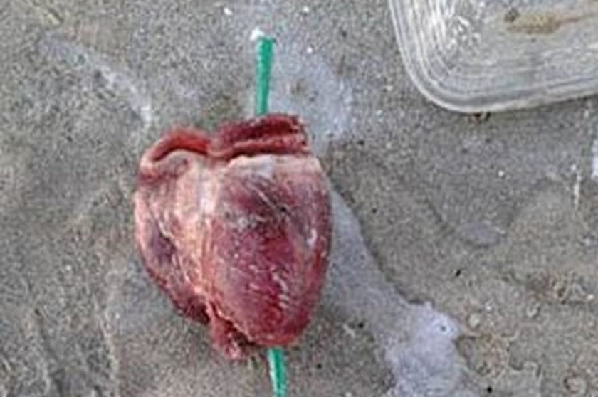 Znalazł na plaży przebite serce. Zostawiła je wiedźma?