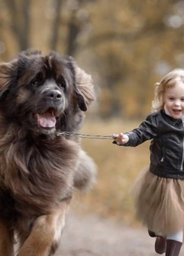 Zdjęcia na rozgrzanie serca: małe dzieci i ich wielkie psy - Noizz