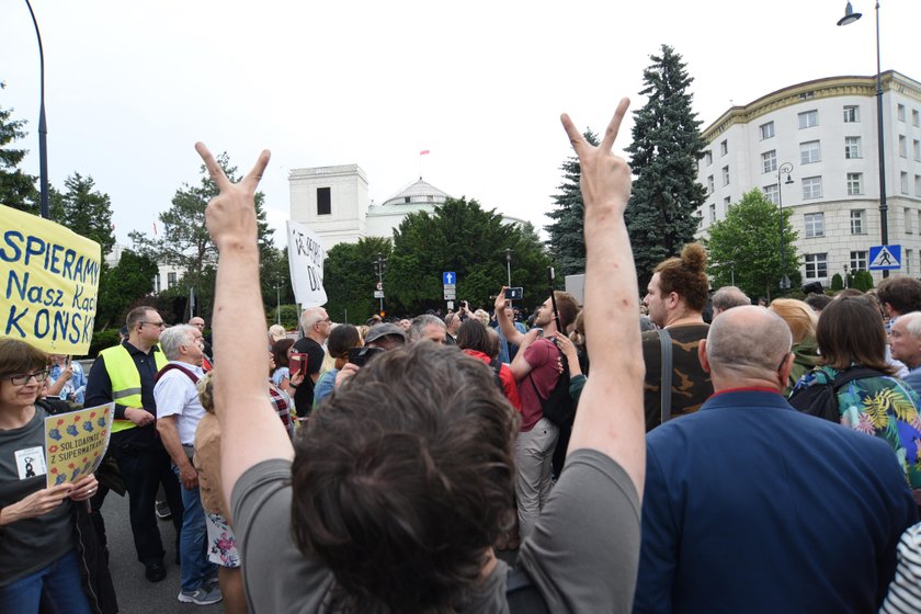 Znana aktorka pod sejmem o PiS. Przesadziła?