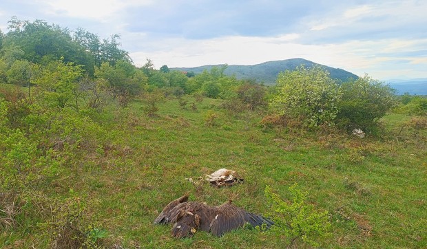 Užasne slike horora kod Svrljiga