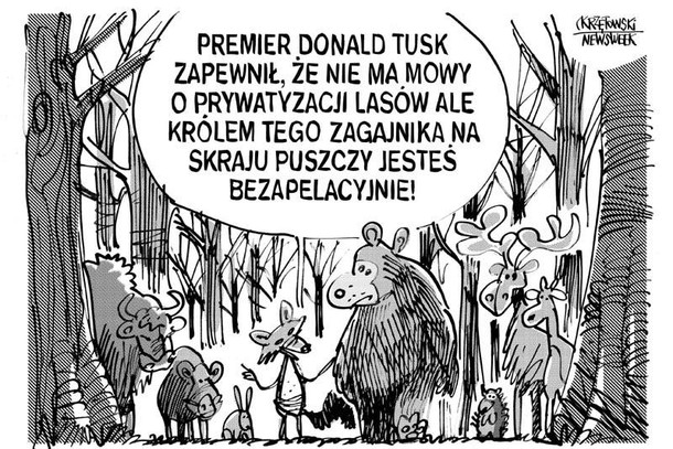 Prywatyzacja lasow krzętowski