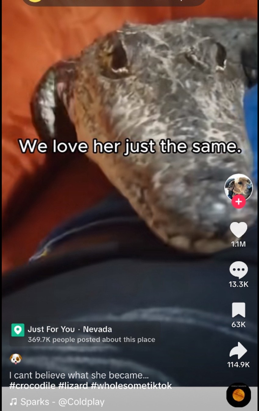 Priintscreen tiktok alexpranq 1