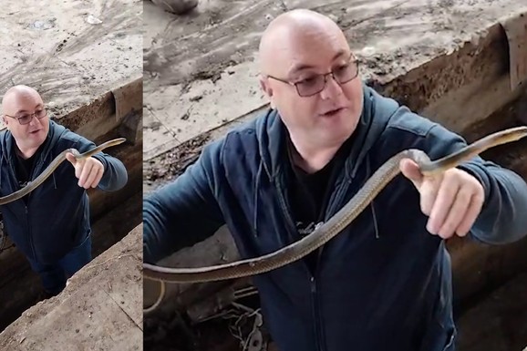 "KAKO GA UHVATI, BRATE?!" Vladica je primio hitan poziv, ubrzo se našao oči u oči sa NAJOPASNIJOM OTROVNICOM: "To je ozbiljna priča"