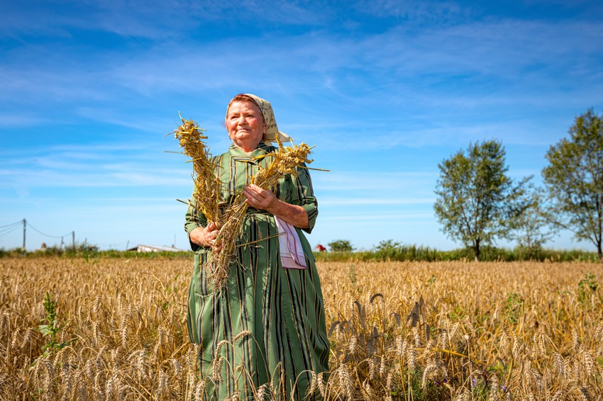 Žena iz Vojvodine u polju