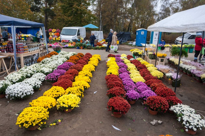 Korki na Wszystkich Świętych