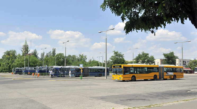 Fontos változás az autóbusz-közlekedésben / Fotó: Máthé Zoltán