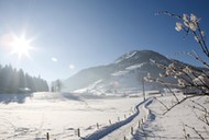 Kirchberg Tyrol Austria