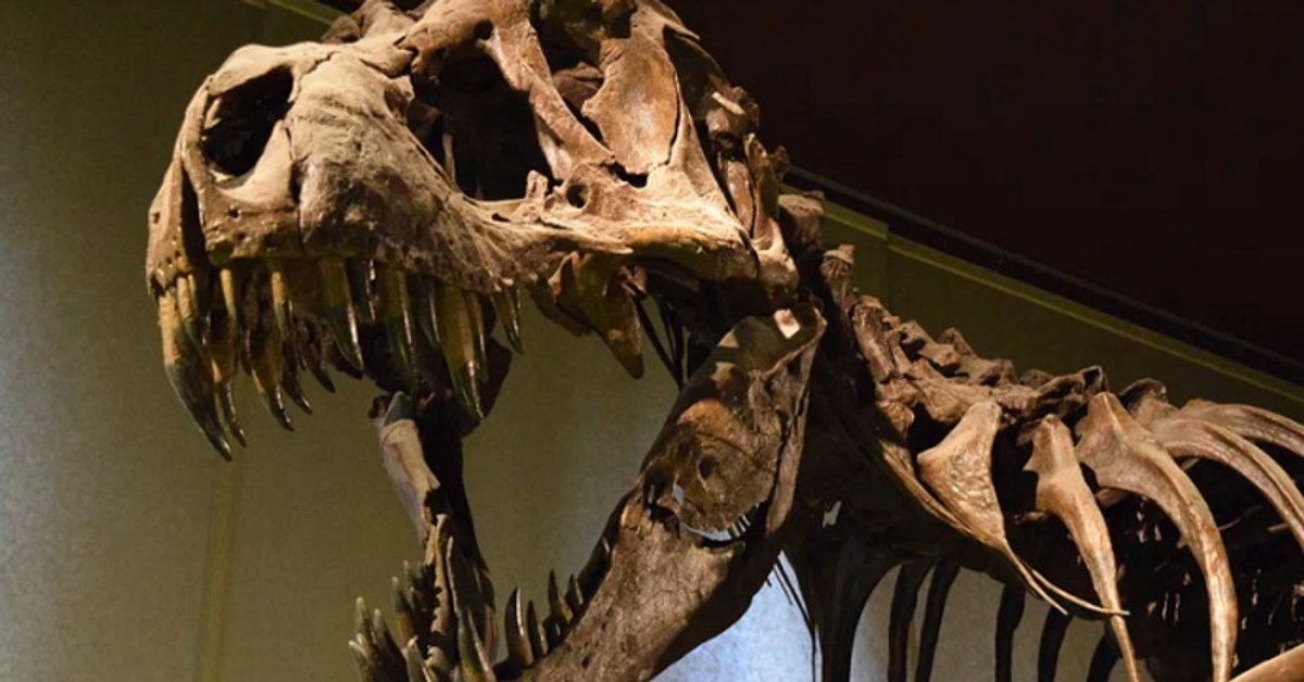 New discoveries about the extinction of dinosaurs.  Isn’t the asteroid the main culprit?