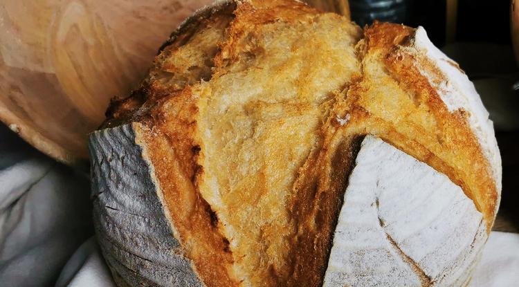 A 2022 es év gluténmentes kenyere a Cöli cirok cipó lett. Fotó: Szabolcs Péter