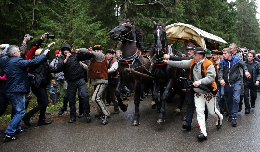 Wóz z turystami próbujący przebić się przez grupę ekologów, którzy zablokowali przejazd wozów konnych wożących turystów do Morskiego Oka