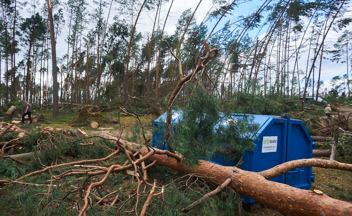 Zniszczenia przy obozie harcerskim