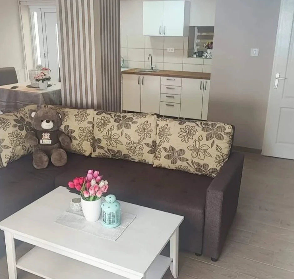 Pevačica od kuće napravila biznis